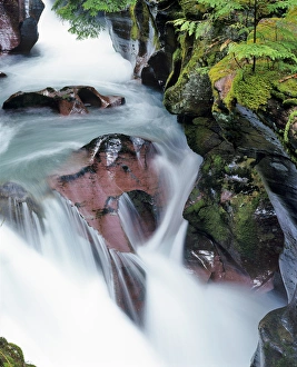 Avalanche Gorge in Glacier National Park in Montana Avalanche Gorge in Glacier National Park in Montana