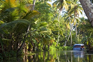 Backwaters, Alappuzha or Alleppey, Kerala, India Backwaters, Alappuzha or Alleppey, Kerala, India