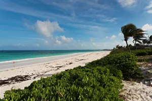 Bahamas, Eleuthera Island, Harbour Island, Pink Sands Beach Bahamas, Eleuthera Island, Harbour Island, Pink Sands Beach