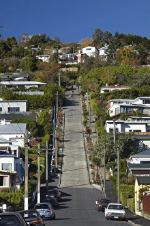 Baldwin Street ( worlds steepest street ), Dunedin, South Island, New Zealand Baldwin Street ( worlds steepest street ), Dunedin, South Island, New Zealand