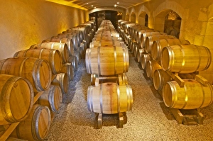 The barrel ageing cellar with rows and stacks of oak barriques Chateau Thieuley La The barrel ageing cellar with rows and stacks of oak barriques Chateau Thieuley La