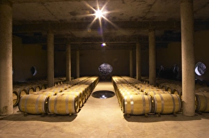 The barrel aging cellar, with a hole in the wall and a hole in the floor to show the soil The barrel aging cellar, with a hole in the wall and a hole in the floor to show the soil