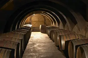Oak Barrel Storage Prints: The barrel aging cellar with lines of barriques and dramatic lighting. Chateau Mourgues