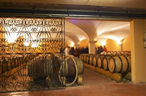 The barrel aging cellar with vaulted celing. Domaine Gilles Robin, Les Chassis, Mercurol The barrel aging cellar with vaulted celing. Domaine Gilles Robin, Les Chassis, Mercurol