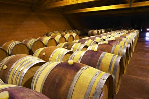 The barrel aging cellars with rows of oak barrels. All are painted red The barrel aging cellars with rows of oak barrels. All are painted red