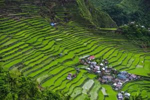 Images Dated 24th April 2011: Batad rice terraces part of the world heritage sight Banaue, Luzon, Philippines