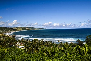Bathsheba, Barbados. C-shaped, curved, ocean coast with surf, and palm trees Bathsheba, Barbados. C-shaped, curved, ocean coast with surf, and palm trees