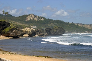 Bathsheba Beach on the east coast of Barbados in the Caribbean Bathsheba Beach on the east coast of Barbados in the Caribbean
