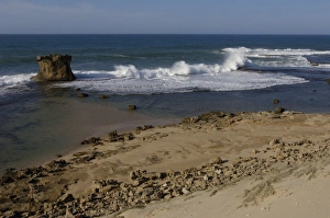 Beach of Cap Sainte Marie Special Reserve on the southern most tip of MADAGASCAR Beach of Cap Sainte Marie Special Reserve on the southern most tip of MADAGASCAR