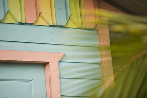 Detail of beach house painted in pastel colors and palm tree, Placencia, Stann Creek District Detail of beach house painted in pastel colors and palm tree, Placencia, Stann Creek District
