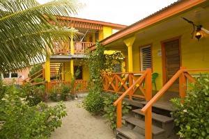 Beach houses and palm tree, Placencia, Stann Creek District, Belize, Central America Beach houses and palm tree, Placencia, Stann Creek District, Belize, Central America