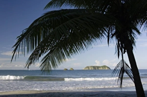 Beach with islands palmtree, Manuel Antonio, Central Pacific Coast, Costa Rica, Central America Beach with islands palmtree, Manuel Antonio, Central Pacific Coast, Costa Rica, Central America