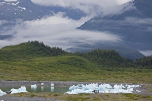 Beached icebergs sit in Columbia Bay at the foot of the Chugach Mountains, on a misty Beached icebergs sit in Columbia Bay at the foot of the Chugach Mountains, on a misty
