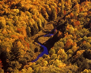 Big Carp River, Porcupine State Park in UP Michigan Big Carp River, Porcupine State Park in UP Michigan