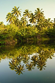 Big Island, Hawaii. Punaluu Black sand beach, Big Island Hawaii Big Island, Hawaii. Punaluu Black sand beach, Big Island Hawaii