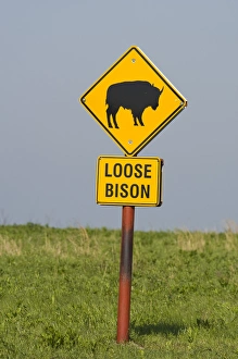 Bison signage at the Tallgrass Prairie Preserve near Pawhuska Oklahoma Bison signage at the Tallgrass Prairie Preserve near Pawhuska Oklahoma