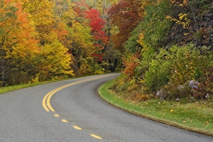 Blue Ridge Parkway winding through autumn colors, Pisgah National Forest, North Carolina Blue Ridge Parkway winding through autumn colors, Pisgah National Forest, North Carolina