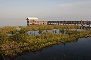 Boardwalk at South Padre Island Birding and Nature Center, South Padre Island, Texasd Boardwalk at South Padre Island Birding and Nature Center, South Padre Island, Texasd