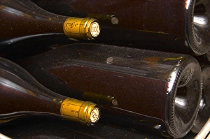 Bottles lying down with corks stamped with the vintage 2003 Bottles lying down with corks stamped with the vintage 2003