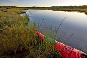 The bow of a kayak in a marshy area of Northeast Creek on Mount Desert Island near Bar Harbor The bow of a kayak in a marshy area of Northeast Creek on Mount Desert Island near Bar Harbor