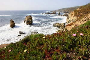 Breaking waves and flowers. Garrapata State Park. View towards North. Entrance #7 Breaking waves and flowers. Garrapata State Park. View towards North. Entrance #7