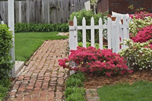 Brick sidewalk, picket fence, and azaleas, Audubon Park neighborhood, Louisville Brick sidewalk, picket fence, and azaleas, Audubon Park neighborhood, Louisville