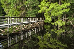 Florida Landscape Photography Prints: bridge with reflection over Suwanee River