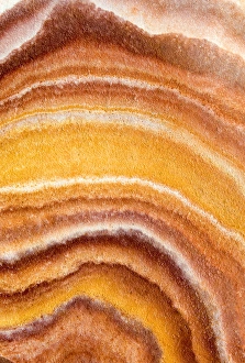 Brilliant color in metamorphic sandstone, Bryce Canyon National Park, Utah, USA Brilliant color in metamorphic sandstone, Bryce Canyon National Park, Utah, USA