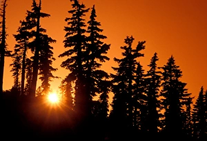 A brilliant orange sunset in the wilderness around Mt Jefferson in Oregon Cascades A brilliant orange sunset in the wilderness around Mt Jefferson in Oregon Cascades