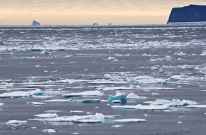 Broken sea ice Scoresby Sund East Coast of Greenland Broken sea ice Scoresby Sund East Coast of Greenland