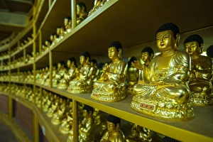 Buddha collection undeneath the Golden Maitreya Statue, Beopjusa Temple Complex Buddha collection undeneath the Golden Maitreya Statue, Beopjusa Temple Complex