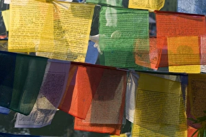 Buddhist prayer flags, Bodh Gaya, Bihar, India Buddhist prayer flags, Bodh Gaya, Bihar, India