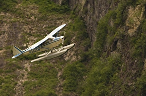 A bush pilot flies his float plane close to mountain in Alaskan canyon A bush pilot flies his float plane close to mountain in Alaskan canyon