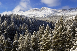 Calf Robe and Summit Mountains in winter at Marias Pass in Glacier National Park Calf Robe and Summit Mountains in winter at Marias Pass in Glacier National Park