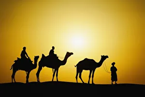 Thar Desert Sunset Prints: Camels and camel