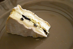 A camembert cheese stuffed with truffles at La Truffe de Ventoux truffle farm, Vaucluse A camembert cheese stuffed with truffles at La Truffe de Ventoux truffle farm, Vaucluse