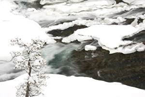 Canada, Banff, Bow River Falls Park, Snowy detail on Spray River Canada, Banff, Bow River Falls Park, Snowy detail on Spray River