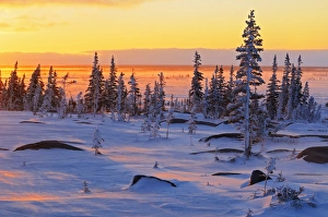 Canada, Manitoba, Churchill, Hudson Bay. Sunrise on snowy tundra Canada, Manitoba, Churchill, Hudson Bay. Sunrise on snowy tundra