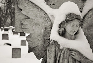 Canada, Ottawa, Beechwood Cemetery. Snow-covered stone angel Canada, Ottawa, Beechwood Cemetery. Snow-covered stone angel
