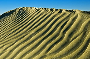 Canada, Saskatchewan, Great Sand Hills. Pattern in sand dunes Canada, Saskatchewan, Great Sand Hills. Pattern in sand dunes