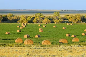 Canada, Saskatchewan, Maple Creek. Bales at sunset, Saskatchewan, Canada. Credit as Canada, Saskatchewan, Maple Creek. Bales at sunset, Saskatchewan, Canada. Credit as
