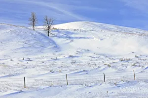 Canada, Saskatchewan, Willow Bunch. Snow-covered landscape Canada, Saskatchewan, Willow Bunch. Snow-covered landscape