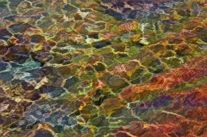 Canada. Shimmering water abstract. Credit as: Mike Grandmaison / Jaynes Gallery / DanitaDelimont Canada. Shimmering water abstract. Credit as: Mike Grandmaison / Jaynes Gallery / DanitaDelimont