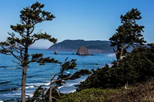Cannon Beach, Oregon. Weathered Pines, Haystack Mountains, and the Pacific Ocean Coast Cannon Beach, Oregon. Weathered Pines, Haystack Mountains, and the Pacific Ocean Coast