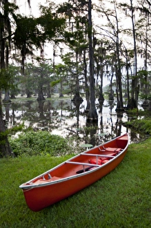 Canoe by Caddo Lake, Texass largest natural lake Canoe by Caddo Lake, Texass largest natural lake