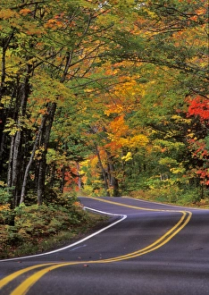 Canopy of autumn color over Highway 41 into Copper Harbor UP Michigan Canopy of autumn color over Highway 41 into Copper Harbor UP Michigan