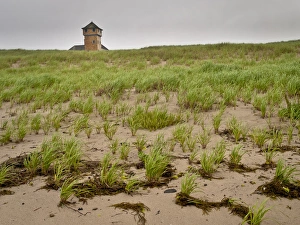 Cape Cod National Seashore Photos Prints: Cape Cod dunes, Massachusetts