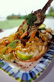 Caribbean, BWI, St. Lucia, Lobster, Ti Kaye Resort, Anse Cochon Caribbean, BWI, St. Lucia, Lobster, Ti Kaye Resort, Anse Cochon