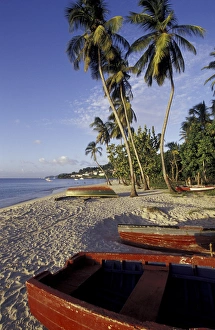 CARIBBEAN, Grenada Colorful boats on beach at dusk CARIBBEAN, Grenada Colorful boats on beach at dusk