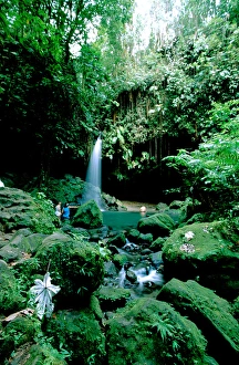 Caribbean, Island of Dominica (aka Nature Island). Trois Piton National Park, Emerald Caribbean, Island of Dominica (aka Nature Island). Trois Piton National Park, Emerald